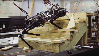 Robot Cheetah can mount ledges and climb stairs without looking