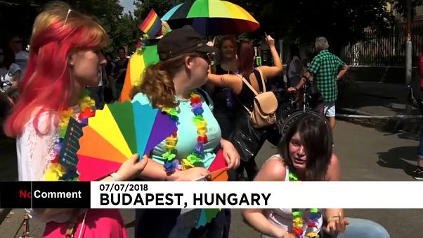 La Gay Pride de Budapest étroitement encadrée après des menaces de l'extrême-droite La Gay Pride de Budapest étroitement encadrée après des menaces de l'extrême-droite