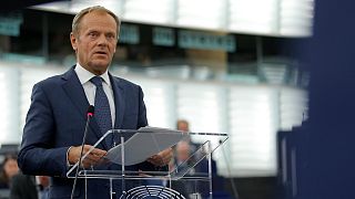رئیس شورای اروپا: «آمریکای عزیز، قدر متحدانت را بدان، که زیاد هم نیستند»  