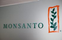 US-Richter erlaubt Klagen gegen Monsanto