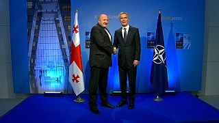 La OTAN, a favor del ingreso de Georgia y Ucrania en la Alianza