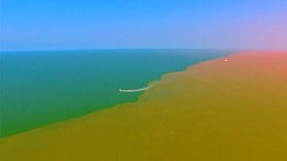 شاهد: نهر من الطين يحول سطح البحر إلى عرض سحري