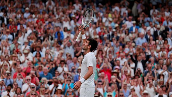 Novak Djokovic regressa à final de Wimbledon Novak Djokovic regressa à final de Wimbledon