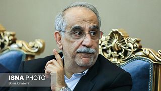 مسعود کرباسیان، وزیر اقتصاد ایران
