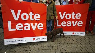 Brexit campaign group Vote Leave fined and reported to police for 'breaking electorial law'