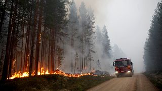 Ein Waldbrand nahe Ljusdal