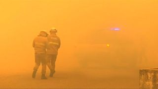 Portugal enfrenta menos incêndios