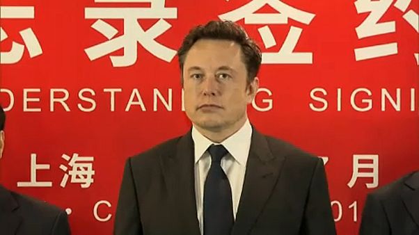 Bocsánatot kért Musk Bocsánatot kért Musk