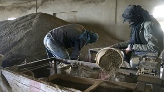 Men work inside a factory that proccesses Hashish in the Bekaa valley
