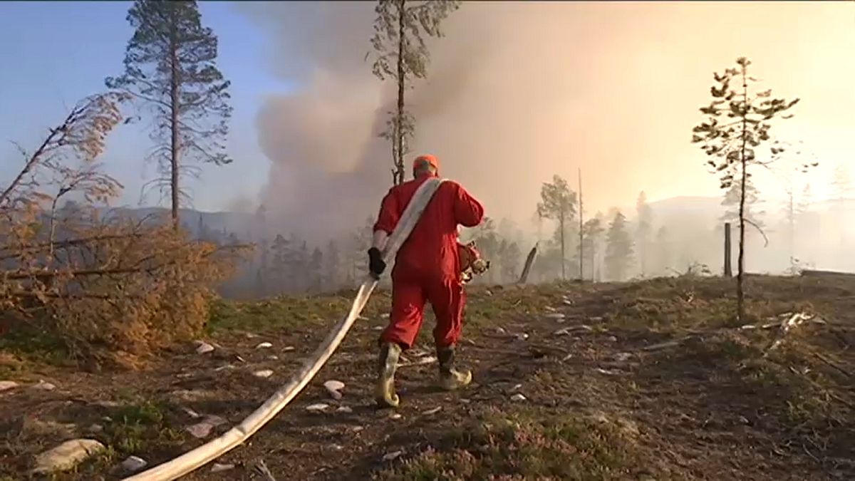 Auch am Polarkreis: Verheerende Feuersbrünste in Schweden