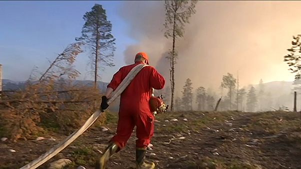 Пожары за полярным кругом Пожары за полярным кругом