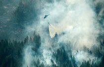 Suède : les feux de forêts se poursuivent