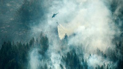 Suède : les feux de forêts se poursuivent