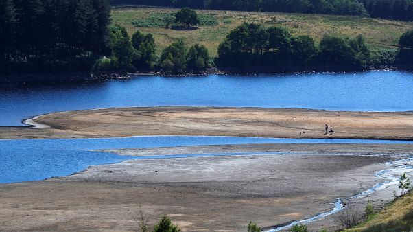 The record breaking heatwave that is gripping northern Europe The record breaking heatwave that is gripping northern Europe