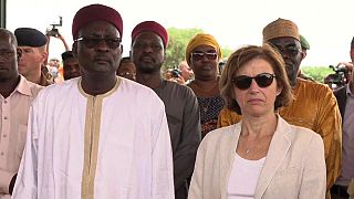 Florence Parly au Niger pour booster la force du G5 Sahel