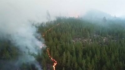 Лесные пожары: Швеция просит помощи