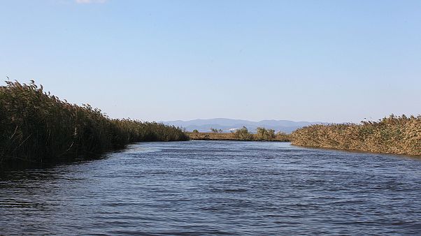 Σύλληψη τεσσάρων Τούρκων στον Έβρο Σύλληψη τεσσάρων Τούρκων στον Έβρο