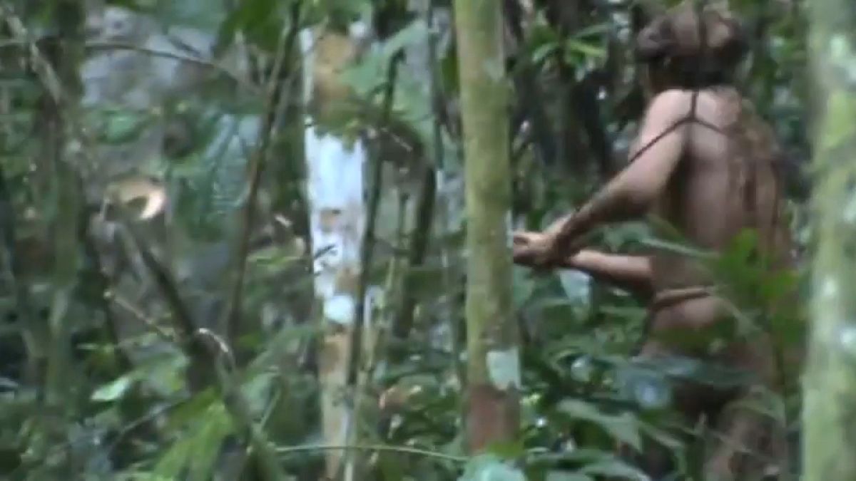 Las increíbles imágenes del último superviviente de una tribu en la Amazonía