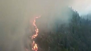 Σουηδία: Πολιτική αντιπαράθεση για τις δασικές πυρκαγιές