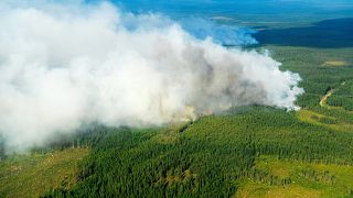 Data shows Sweden’s wildfire problem is unusual