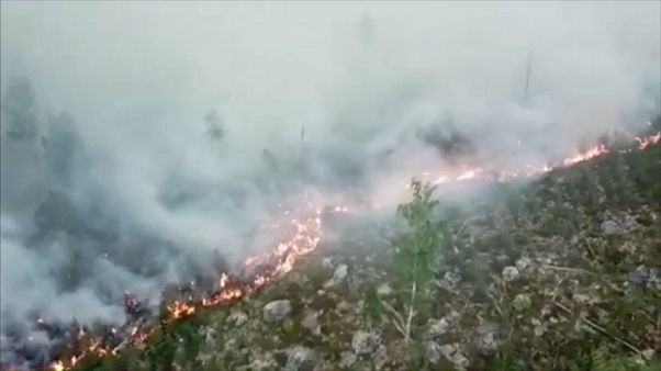 Incendios y sequías en el norte de Europa a causa de una ola de calor Incendios y sequías en el norte de Europa a causa de una ola de calor