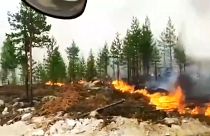 Noch mehr Wald brennt in Schweden