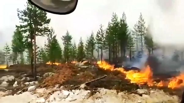 Noch mehr Wald brennt in Schweden Noch mehr Wald brennt in Schweden