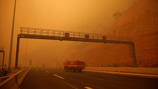 Wildfire burns in Kineta, near Athens