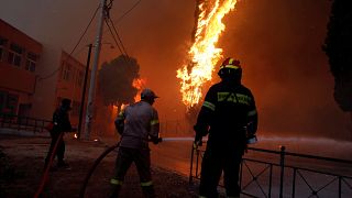 Apocalisse in Grecia: incendi fuori controllo. Ventisei corpi trovati arsi vivi