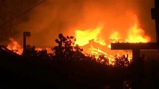 Смертоносные пожары в Греции: погибли 50 человек