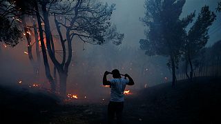 Greece appeals for help after deadly fires ravage coast