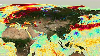 Avrupa'da orman yangınlarını tetikleyen aşırı sıcaklar denizlerin de ısısını yükseltiyor