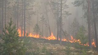 Clima, parla l'esperto: "Applicare gli accordi di Parigi"