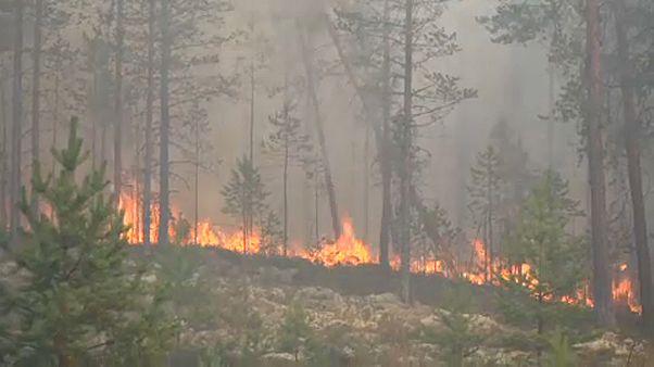 Clima, parla l'esperto: "Applicare gli accordi di Parigi" Clima, parla l'esperto: "Applicare gli accordi di Parigi"