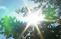 Heiße Hundstage: Bis zu 38 Grad