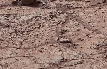 La superficie del planeta Marte dentro del cráter Gale.
