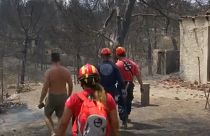 Στους 83 ανήλθαν οι νεκροί από τις καταστροφικές πυρκαγιές (Πυροσβεστική υπηρεσία)