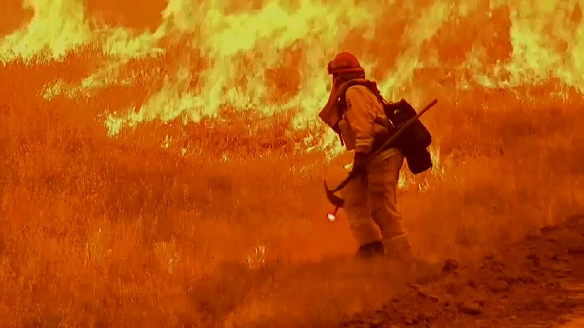 California wildfires kill six 