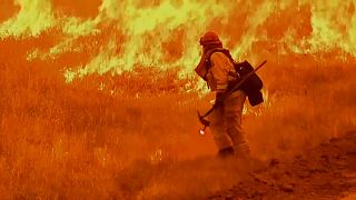 California wildfires kill six 