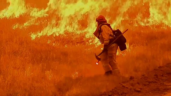 California wildfires kill six California wildfires kill six