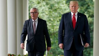 Jean-Claude Juncker ve Donald Trump Washington'da biraraya geldi.