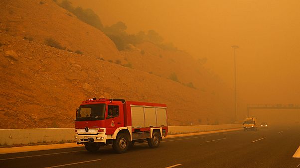 Who are the victims of Greece’s wildfires? Who are the victims of Greece’s wildfires?