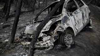 Autoridades gregas suspeitam de fogo posto
