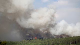 İsveç'te orman yangınları