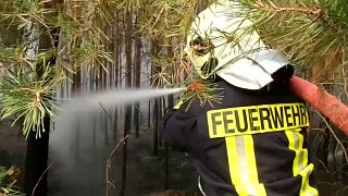 Brandenburg: Waldbrand unter Kontrolle