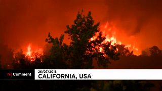 Halálos áldozata is van az észak-kaliforniai tűzvésznek