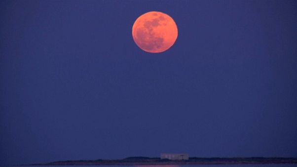 Earth awaits 'blood moon' Earth awaits 'blood moon'