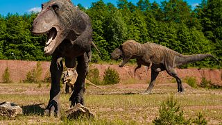 بالفيديو: الديناصورات عادت إلى أوروبا من البوابة البريطانية