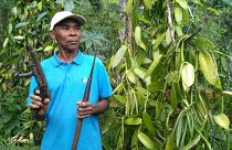 Madagaskar: Kampf der Bauern gegen Vanille-Diebe