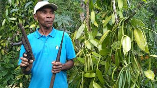 Madagaskar: Kampf der Bauern gegen Vanille-Diebe